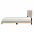 Lexicon Newberry Velvet Queen Platform Bed in Light brown