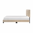 Lexicon Newberry Velvet Full Platform Bed in Light brown