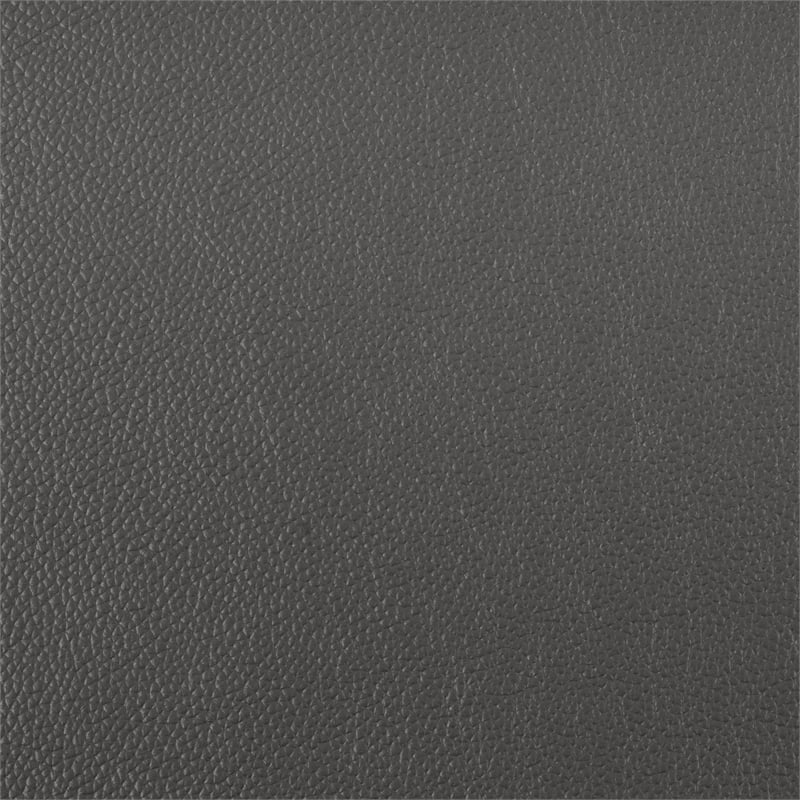 Lexicon Houghton Leather Accent Chair in Dark Gray