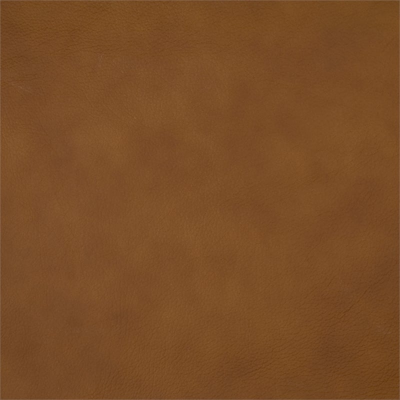 Lexicon Apex Leather Power Double Reclining Sofa with Power Headrests in Brown