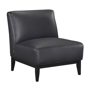 Lexicon Houghton Leather Accent Chair in Black