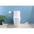 CRO Decor One-Piece Toilet Ceramic (White)