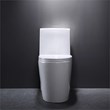 CRO Decor One-Piece Toilet Ceramic (White)