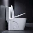 CRO Decor One-Piece Toilet Ceramic (White)