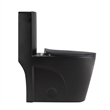 CRO Decor One-Piece Toilet Ceramic (Black)