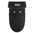 CRO Decor One-Piece Toilet Ceramic (Black)
