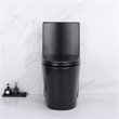 CRO Decor One-Piece Toilet Ceramic (Black)