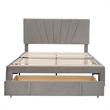 CRO Decor Queen Size Storage Bed Velvet Upholstered Platform Bed with a Drawer