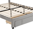 CRO Decor Queen Size Storage Bed Velvet Upholstered Platform Bed with a Drawer