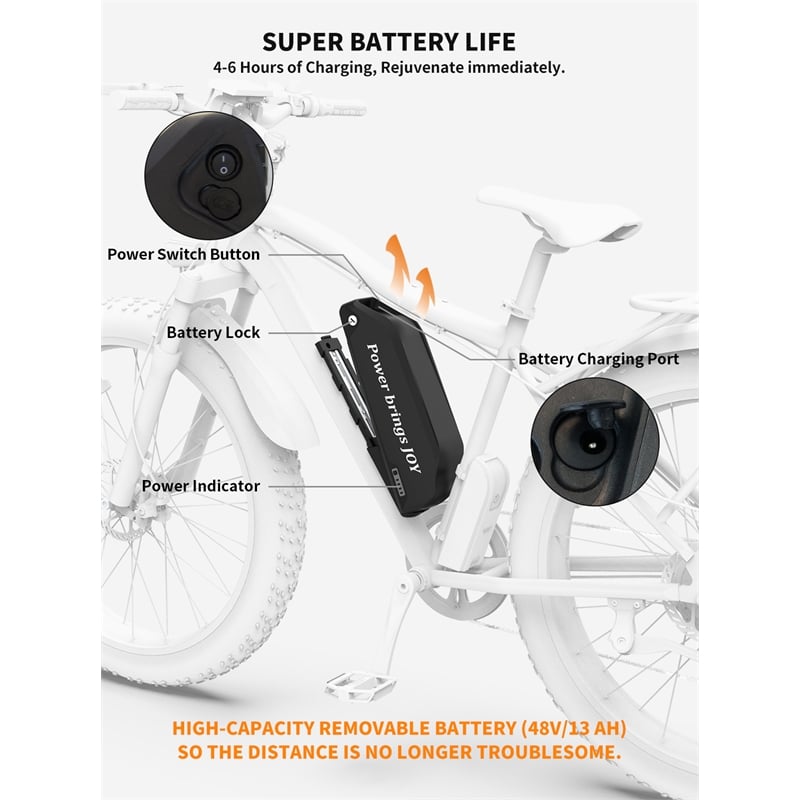 750W Electric Bike Fat Tire Removable Lithium Battery for Adults with Fender