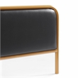 Black - King Size Metal Frame Solid Wood Ribs & Foam Upholstery