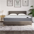 CRO Decor 10 Inch Queen Bed Mattress UHM0170