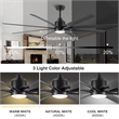CRO Decor 72