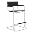 CRO Decor Stainless Steel Dining Chair Office Chair-Black