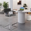 CRO Decor Stainless Steel Dining Chair Office Chair-Black