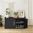 CRO Decor Resin Double-door Shoe Cabinet -Blank