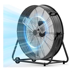 Fans