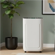 75-Pint White Plastic Dehumidifier with 1.72 Gallon Tank & Timer & Auto Defrost