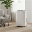 75-Pint White Plastic Dehumidifier with 1.72 Gallon Tank & Timer & Auto Defrost