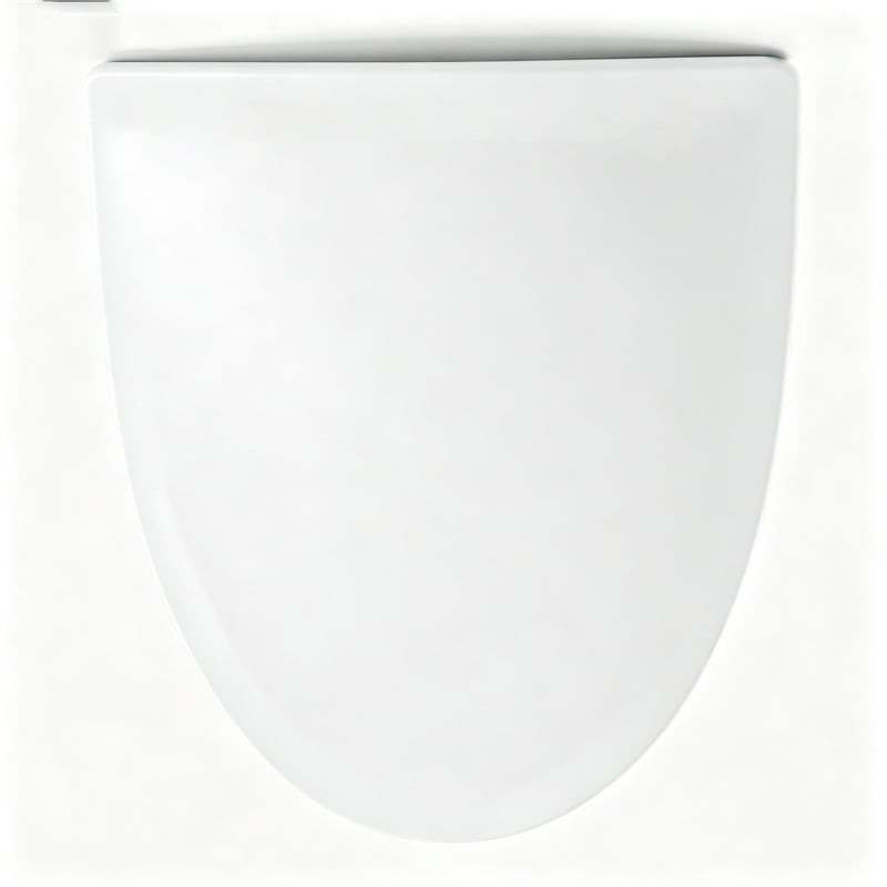 White Polypropylene V-Shaped Toilet Seat with Cover 17.44 x 14.76 in