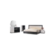 Best Master Poplar Wood Queen Platfrom Bed With LED Light in White/Black