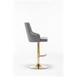 Brightcast 2-piece Velvet Tufted Gold Bar Stools in Dark Gray