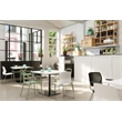 Olio Designs Dali Plastic Indoor-Outdoor Dining Arm Chair in Poppy