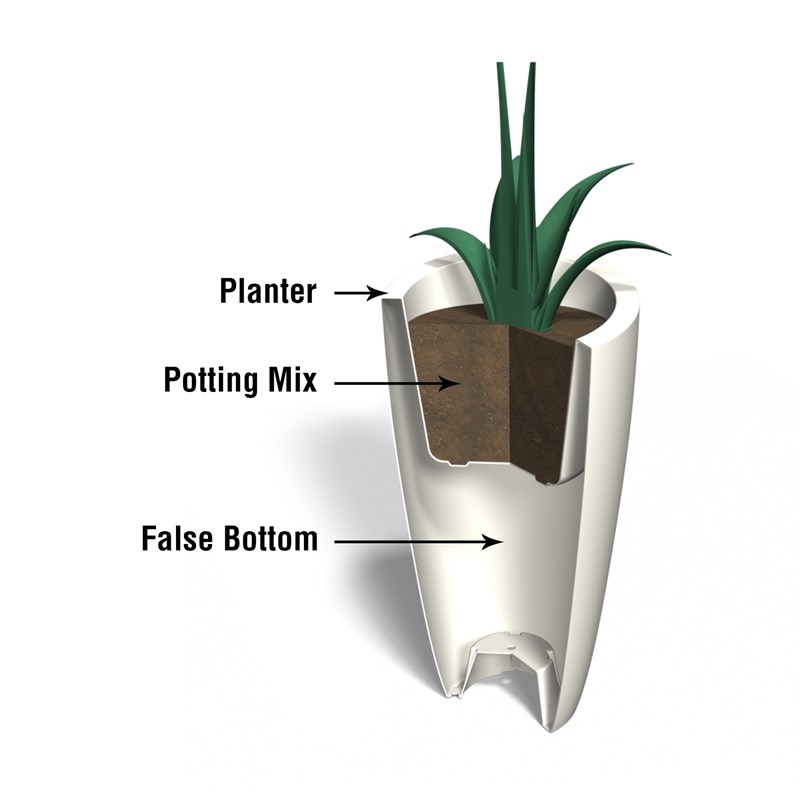 Mayne Modesto 42