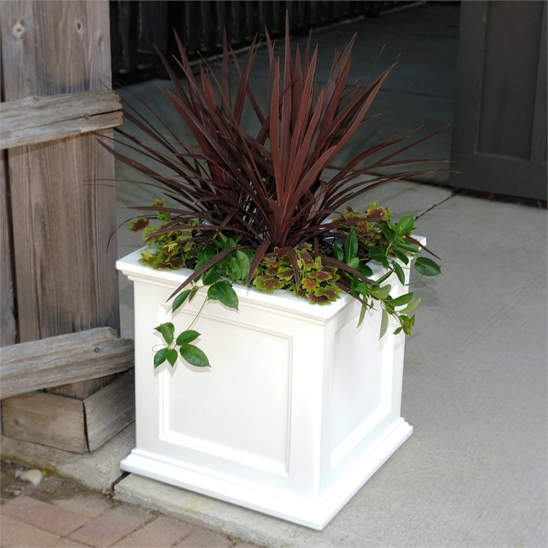 Mayne Fairfield 20x20