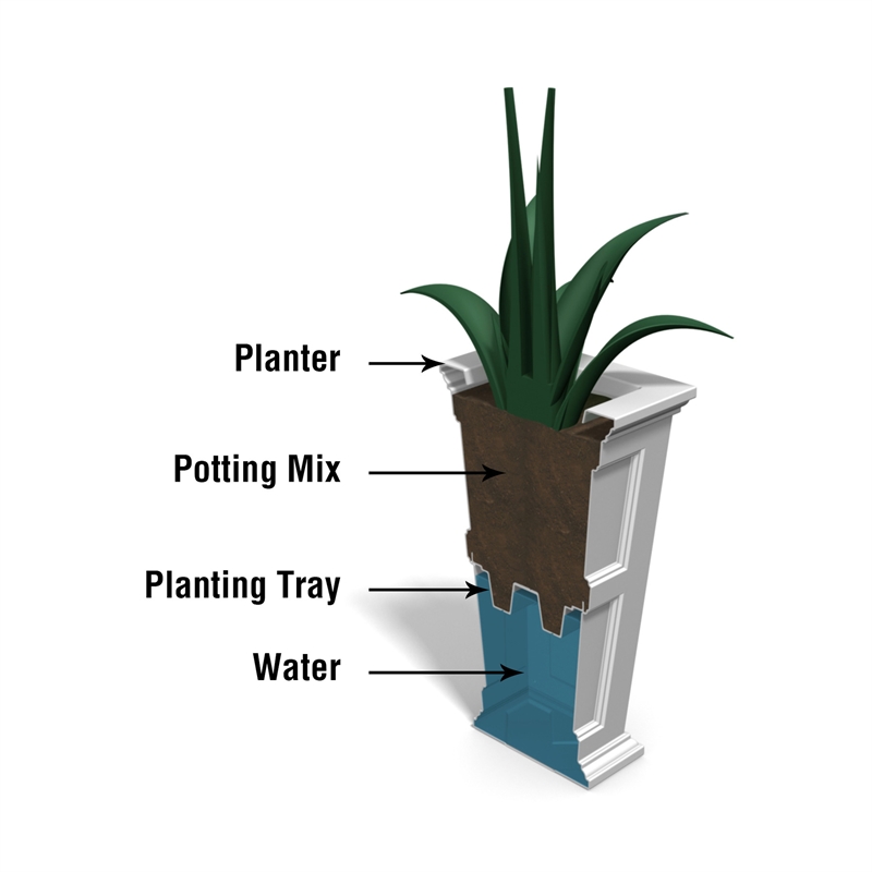 Mayne Fairfield 28
