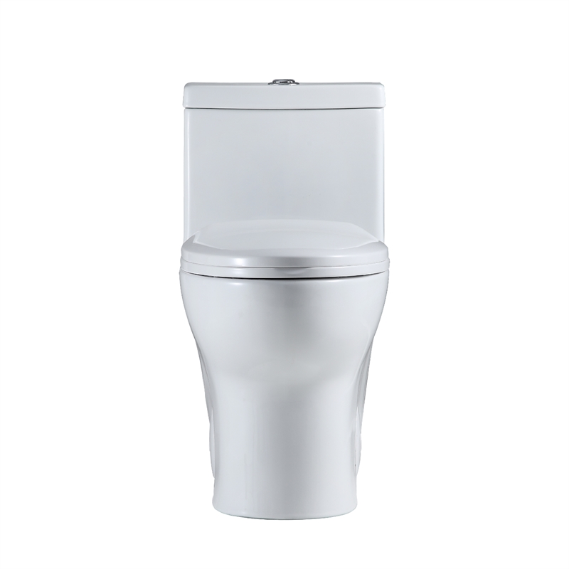 Venezia 1-Piece Dual Flush Elongated Ceramic Toilet in White Seat Included