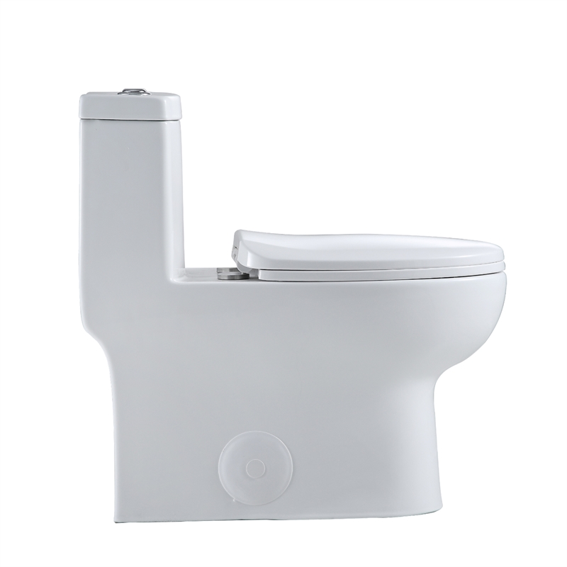 Venezia 1-Piece Dual Flush Elongated Ceramic Toilet in White Seat Included