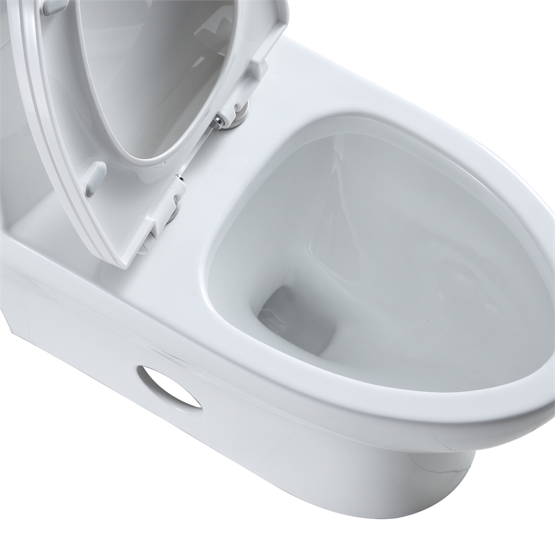 Venezia 1-Piece Dual Flush Elongated Ceramic Toilet in White Seat Included