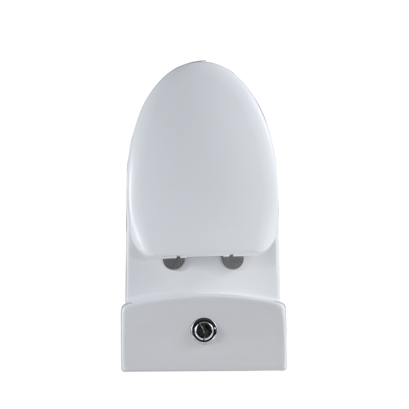 Venezia 1-Piece Dual Flush Elongated Ceramic Toilet in White Seat Included