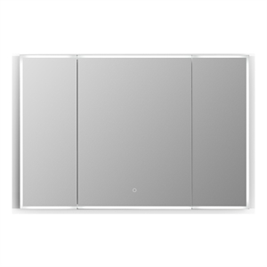 Carsoli 48&quot Clear Glass Surface-Mount/Recessed LED Mirror Medicine Cabinet