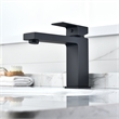 Aalst Single Hole Single Handle Bathroom Faucet in Matte Black