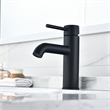 Tubize Single Hole Single-Handle Bathroom Faucet in Matte Black