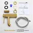 Tubize Single Hole Single-Handle Bathroom Faucet in Brushed Gold