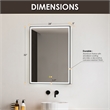 Fenice 24