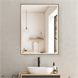 Fenice 24