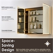 Fenice 36