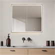 Fenice 36