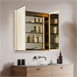 Fenice 36