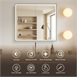 Fenice 36