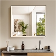 Fenice 36