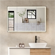 Fenice 48