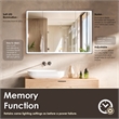 Fenice 48