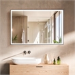 Fenice 48