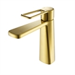 Paula Single Hole Single-Handle Brass Bathroom Faucet in Brushed Gold