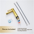Paula Single Hole Single-Handle Brass Bathroom Faucet in Brushed Gold